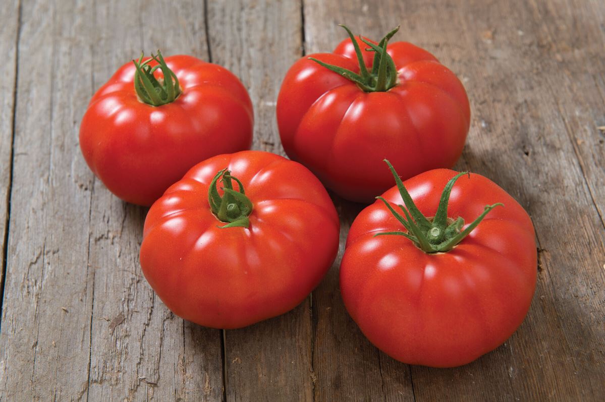 Marbonne – Tomato Seed